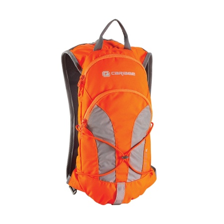 Stinger 2L Hi Vis hydration backpack Orange 1